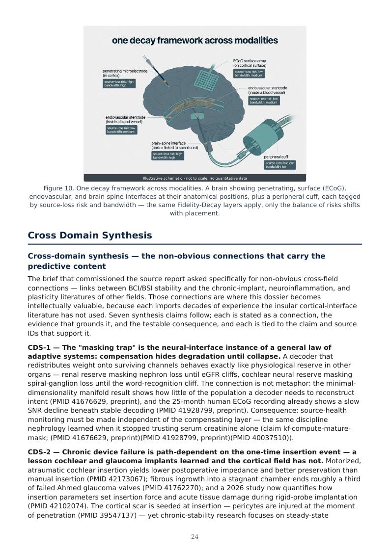 BCI / BSI Long-Term Stability research report preview page 24