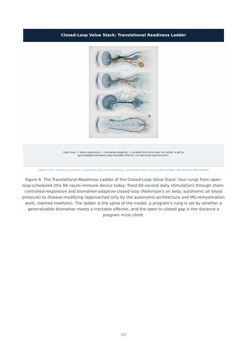 Bioelectronic Neuro-Immune Closed Loop research report preview page 20