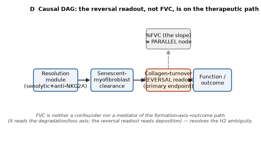 Causal DAG — the reversal readout, not FVC, is on the therapeutic path