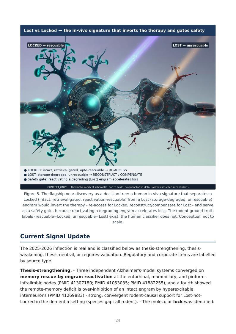 Engineering Memory research report preview page 24