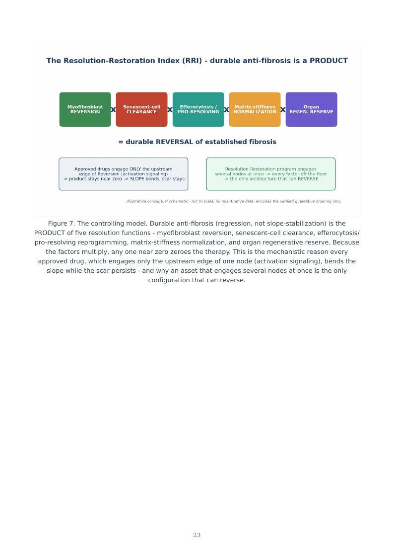 Fibrosis as Failed Resolution research report preview page 23