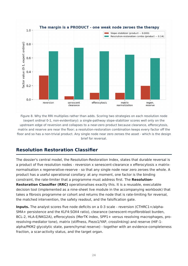 Fibrosis as Failed Resolution research report preview page 24