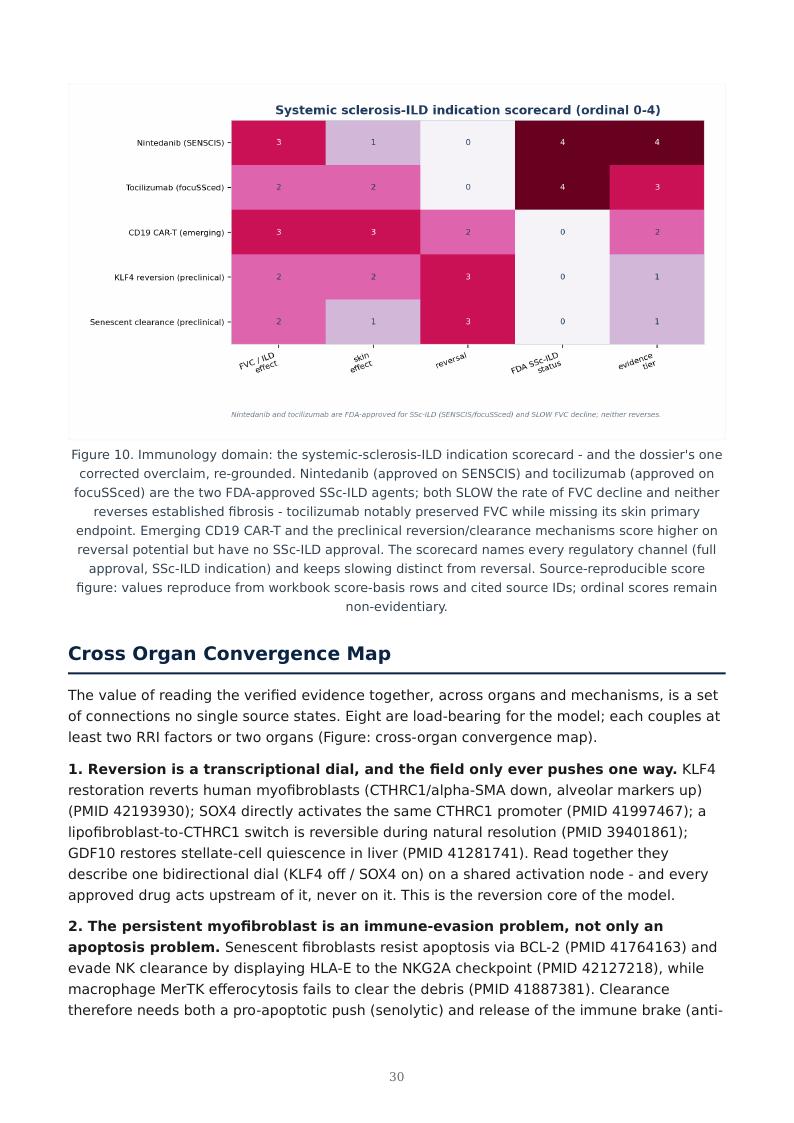 Fibrosis as Failed Resolution research report preview page 30