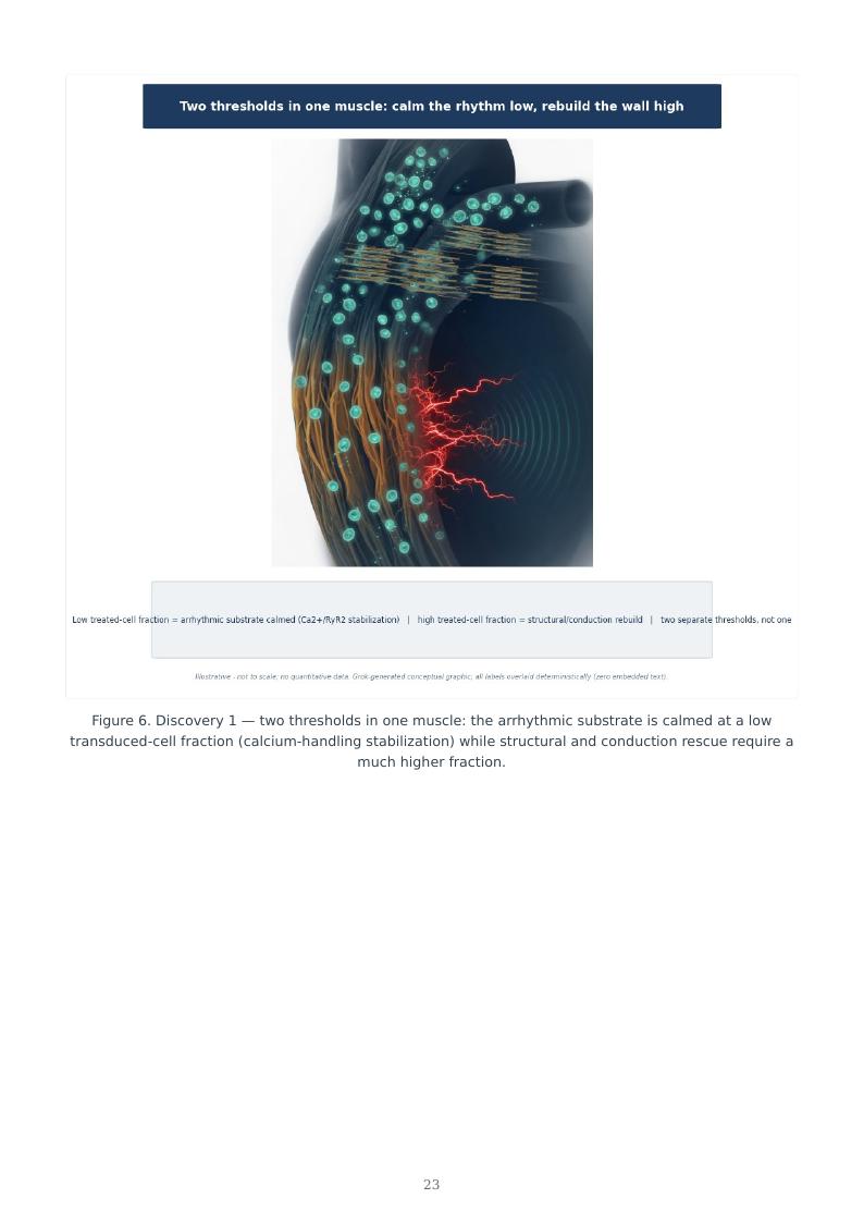 Genetic Cardiomyopathy Precision Therapies research report preview page 23