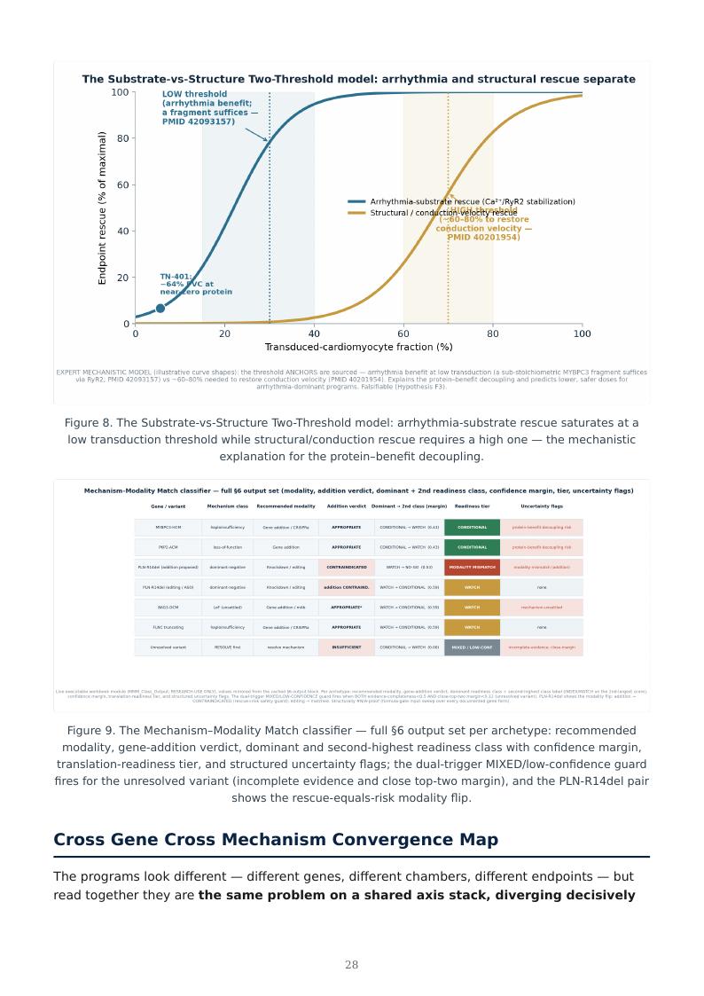 Genetic Cardiomyopathy Precision Therapies research report preview page 28