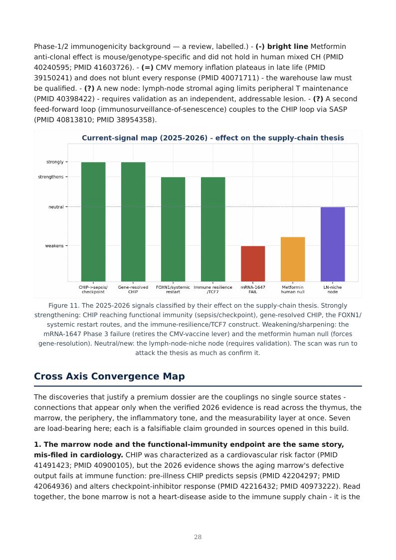Immune Aging Supply Chain research report preview page 28