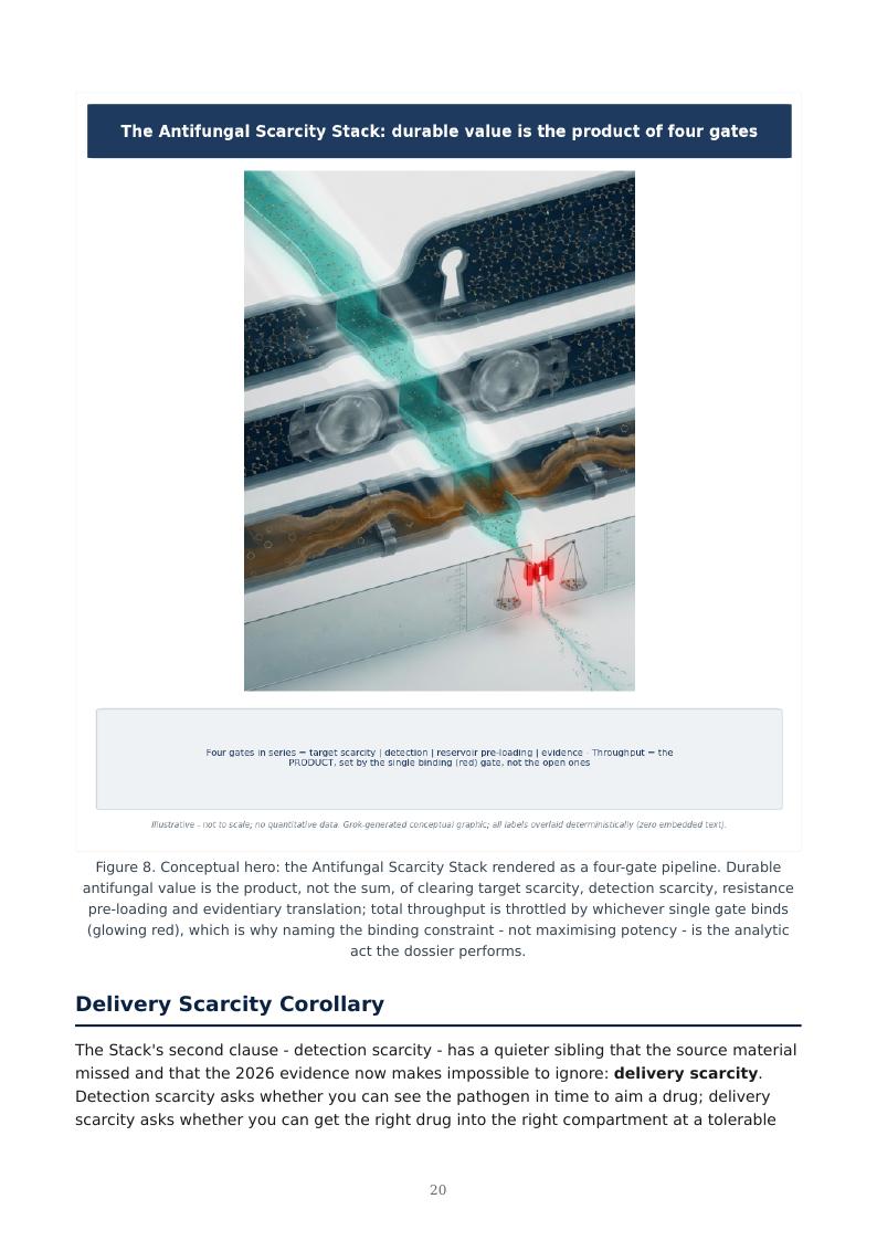 Invasive Fungal Disease & Antifungal Resistance research report preview page 20