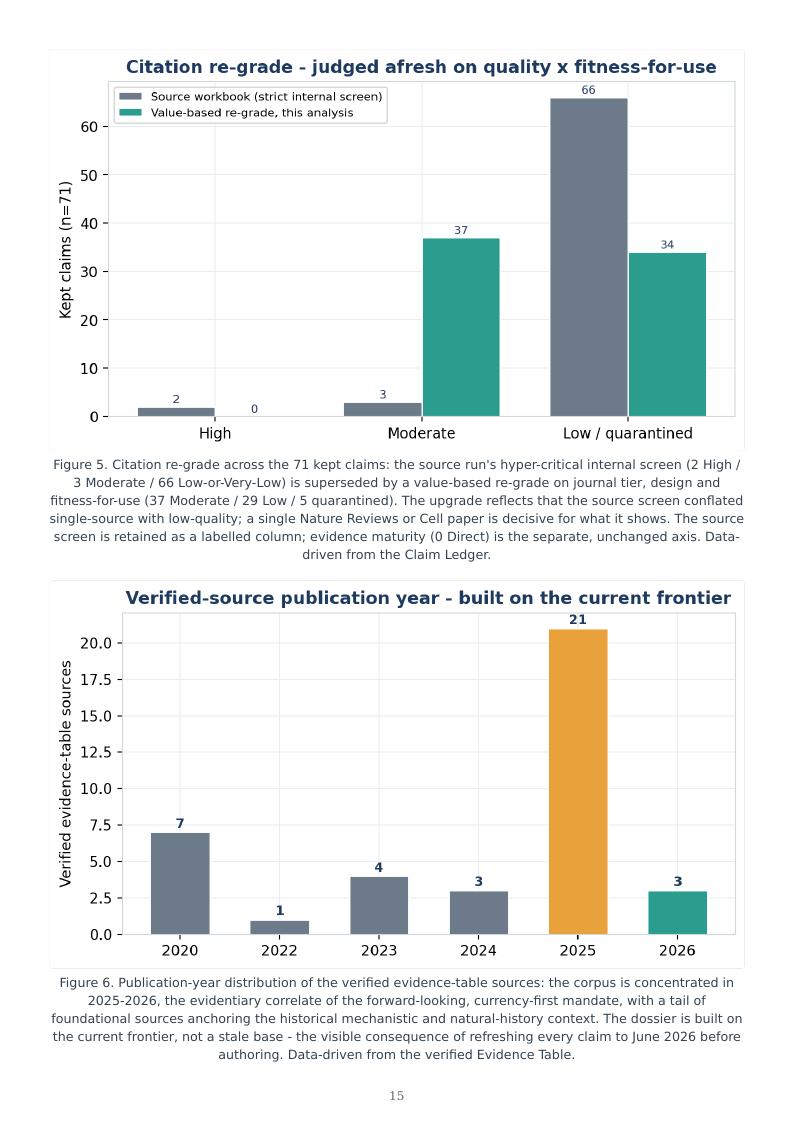 Mitochondrial Medicine Permanence Ladder research report preview page 15