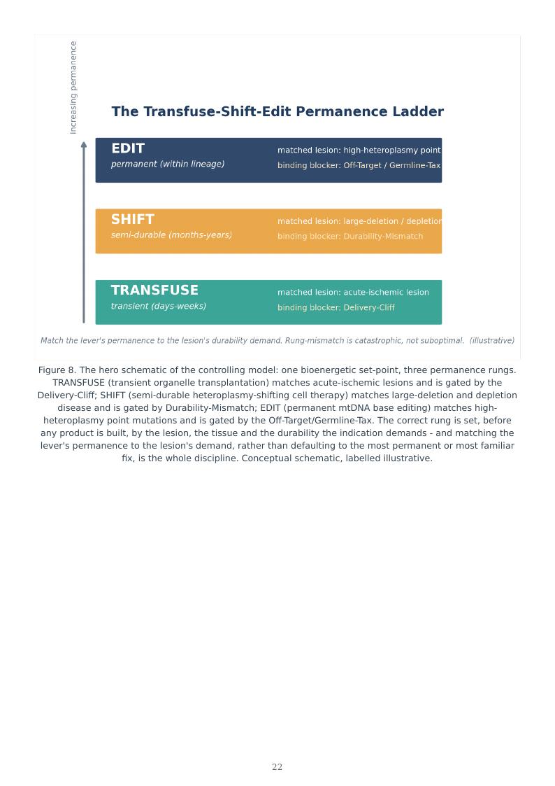 Mitochondrial Medicine Permanence Ladder research report preview page 22