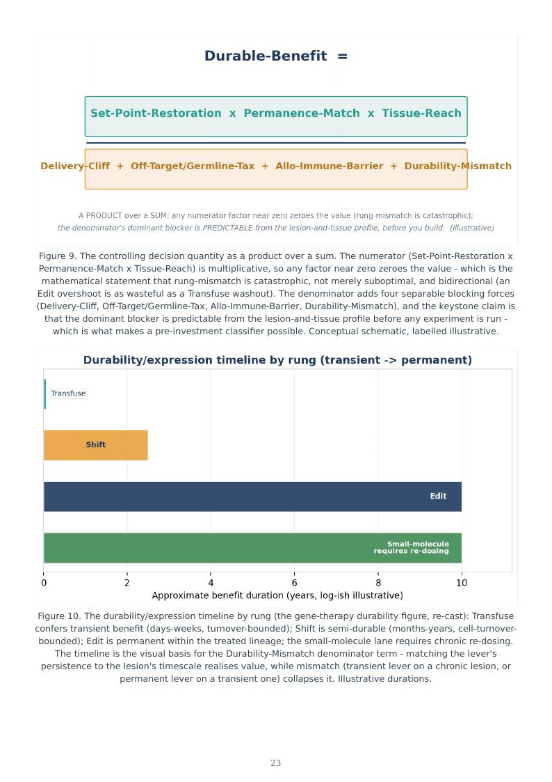 Mitochondrial Medicine Permanence Ladder research report preview page 23