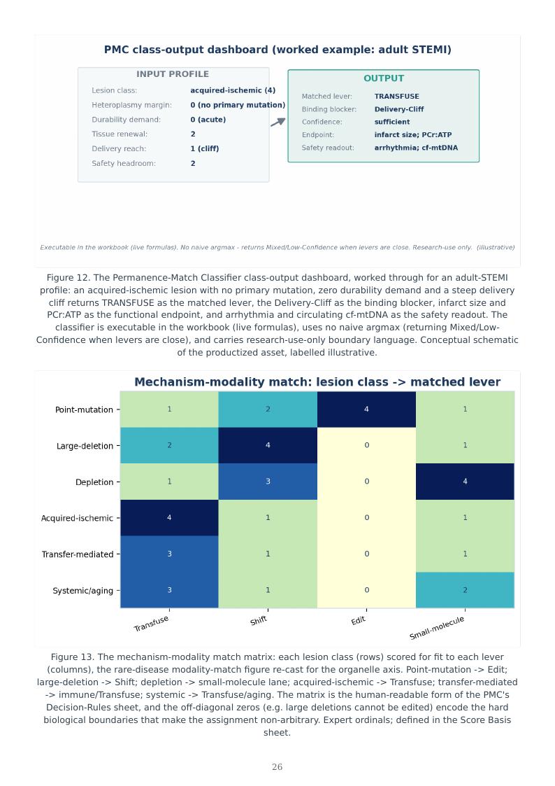 Mitochondrial Medicine Permanence Ladder research report preview page 26