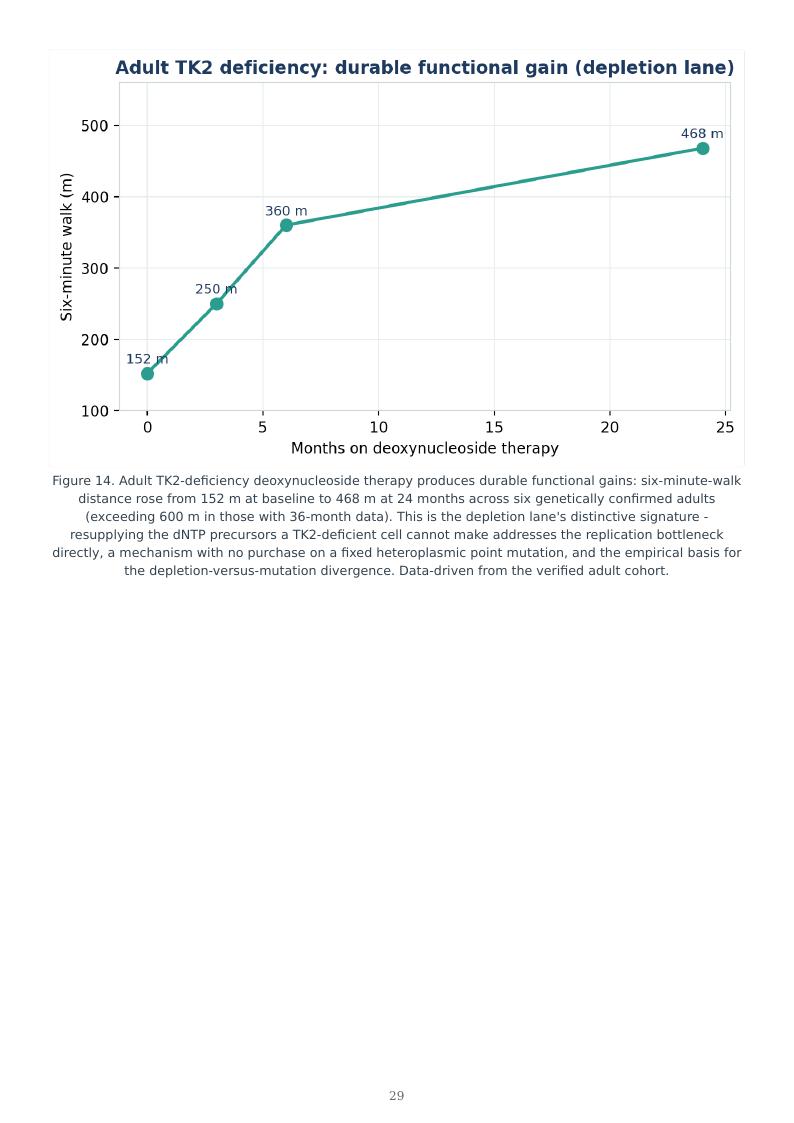 Mitochondrial Medicine Permanence Ladder research report preview page 29