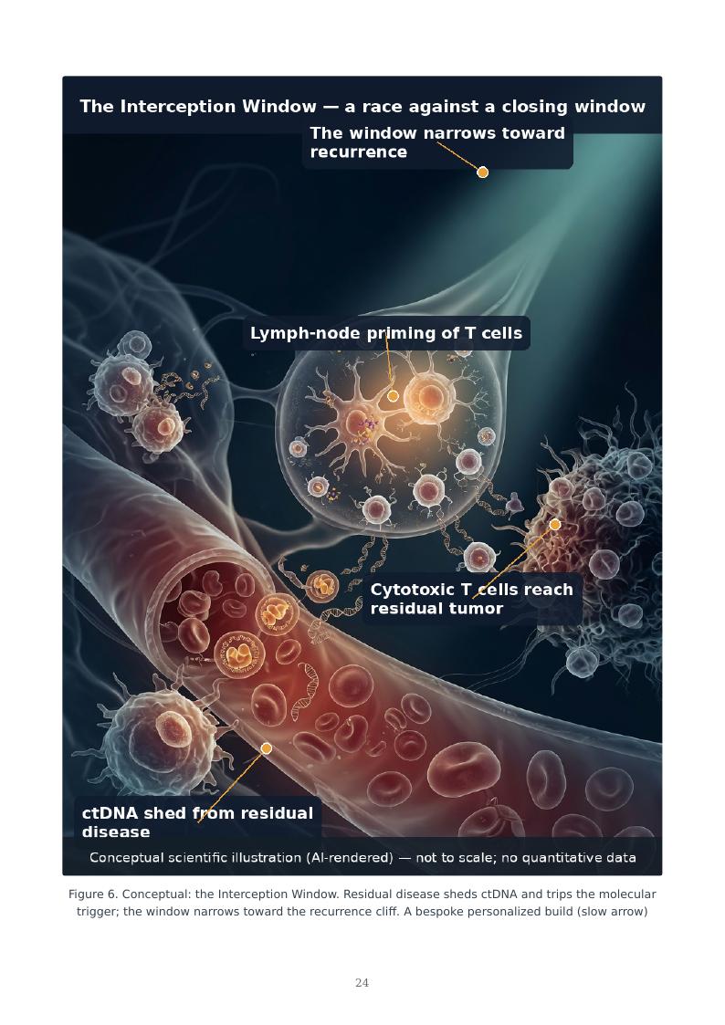 MRD-Guided Neoantigen Vaccines research report preview page 24