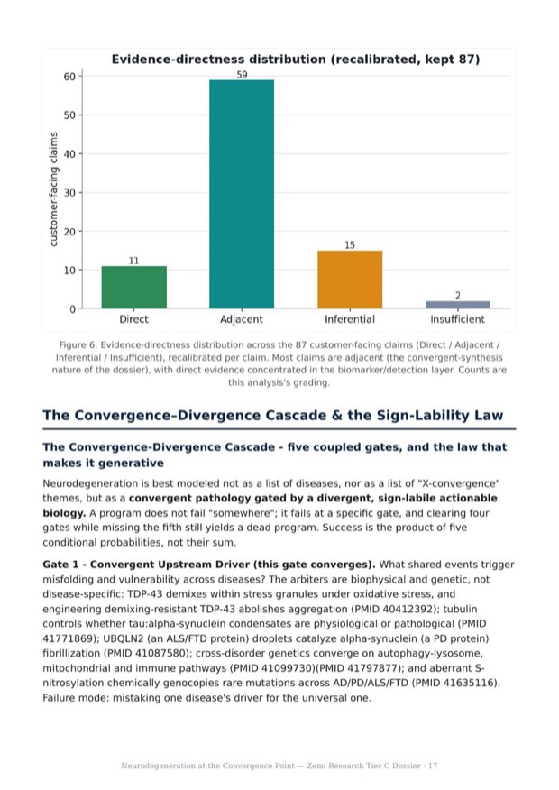 Neurodegeneration Convergence research report preview page 17