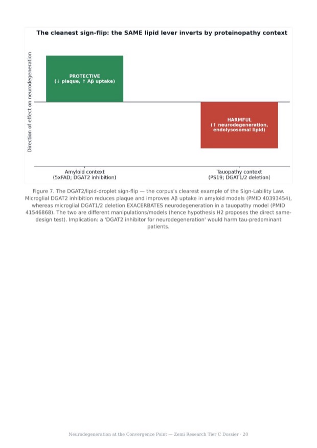 Neurodegeneration Convergence research report preview page 20