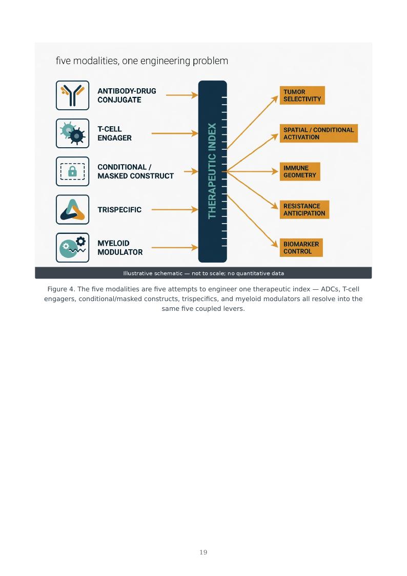 Next-Generation Immuno-Oncology Platforms research report preview page 19