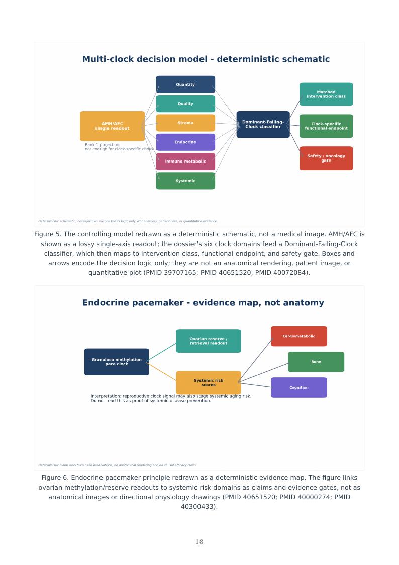 Ovarian Aging Multi-Clock research report preview page 18