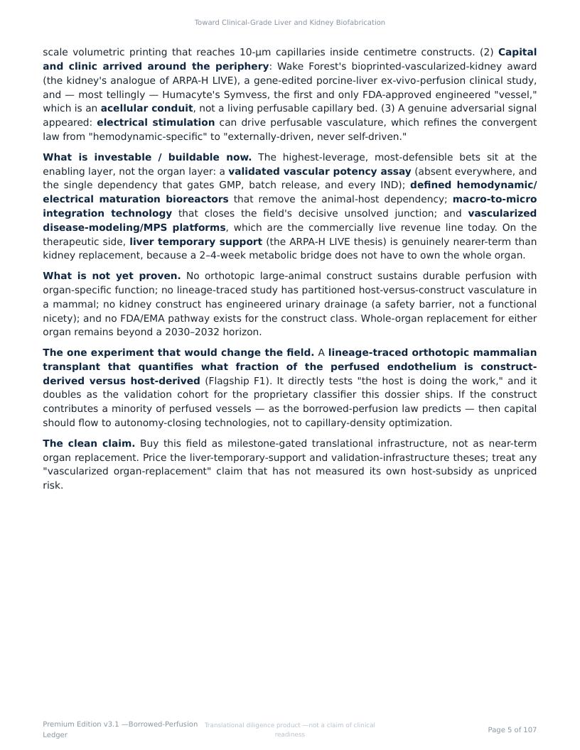 Perfusable Vascular Networks research report preview page 5