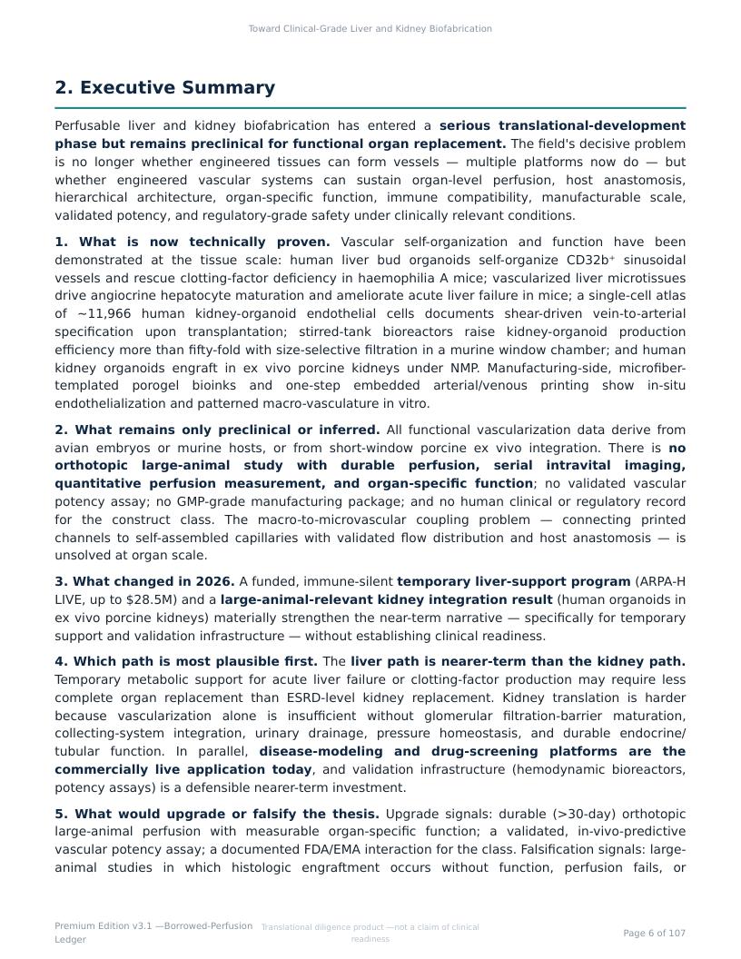 Perfusable Vascular Networks research report preview page 6