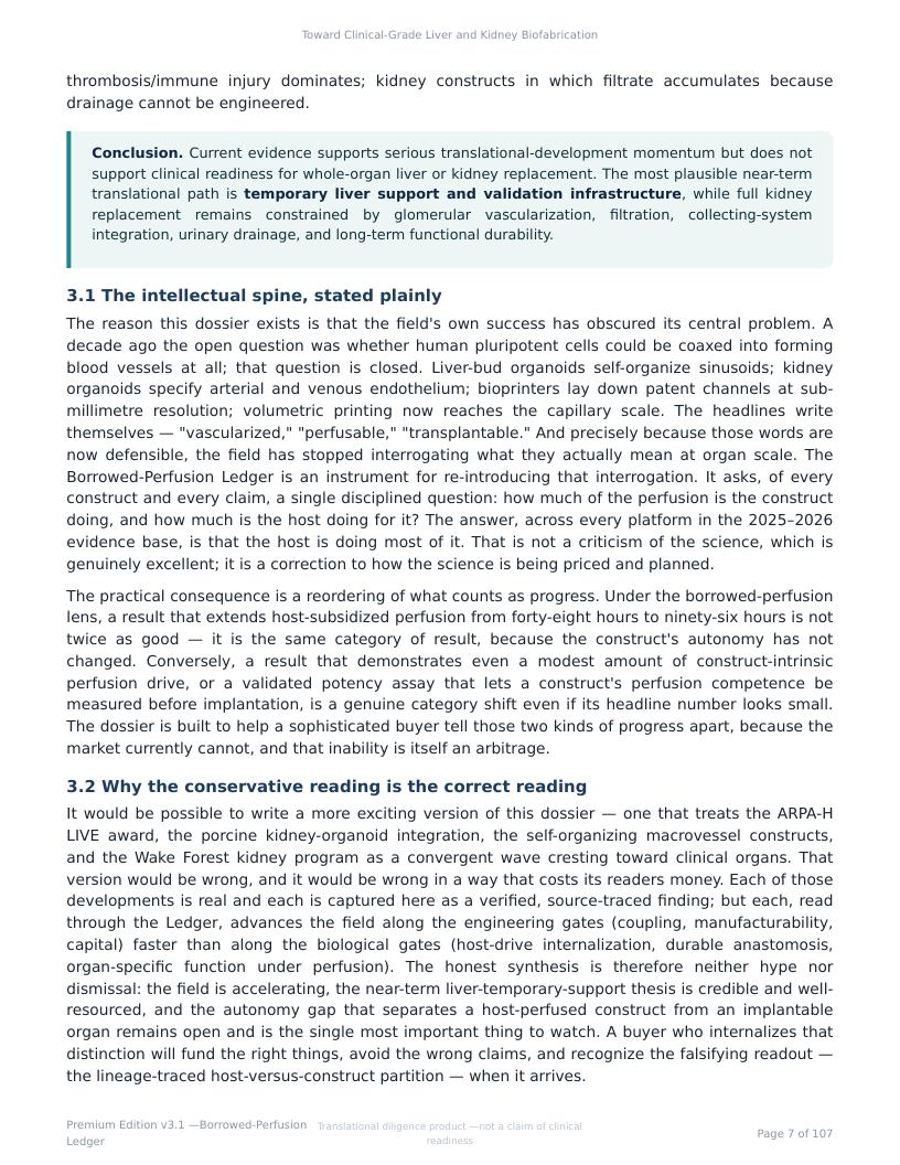 Perfusable Vascular Networks research report preview page 7