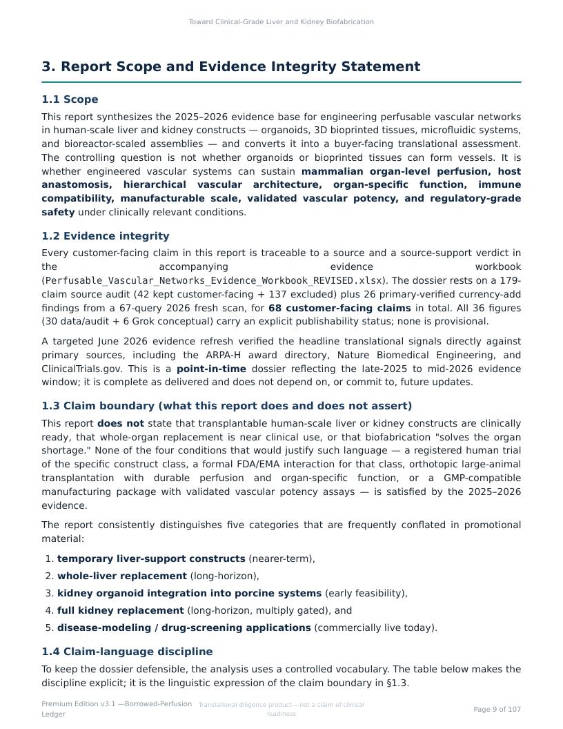 Perfusable Vascular Networks research report preview page 9