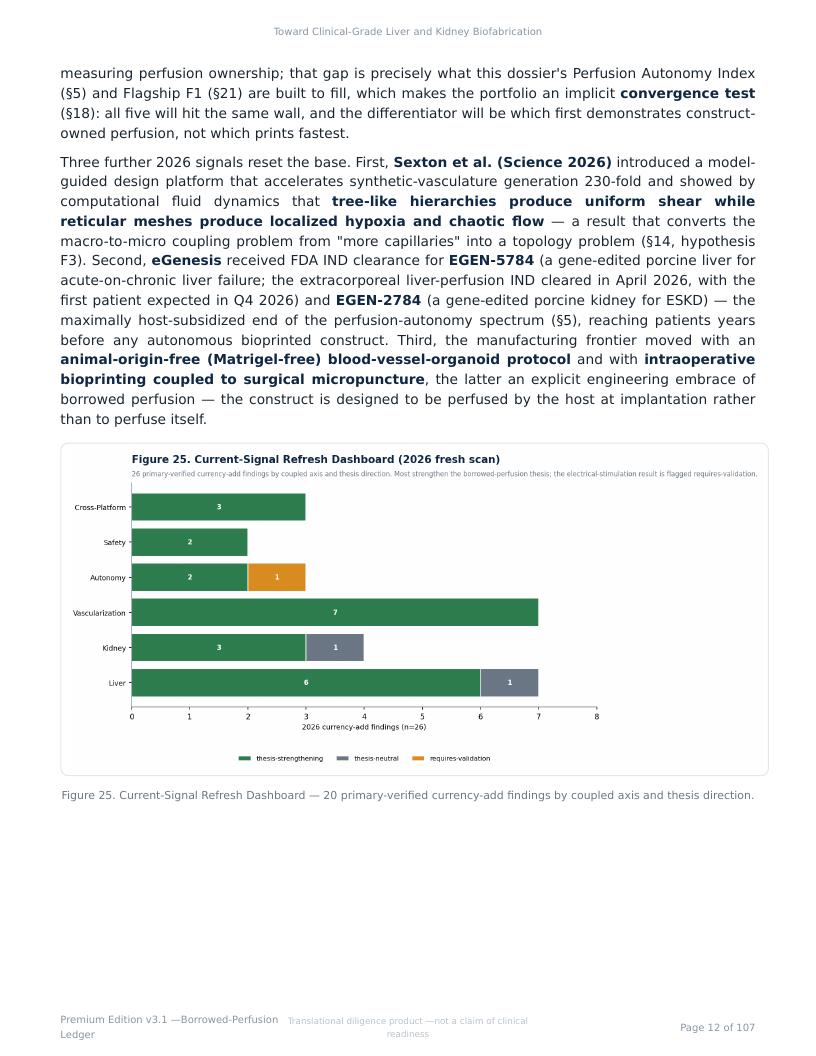 Perfusable Vascular Networks research report preview page 12