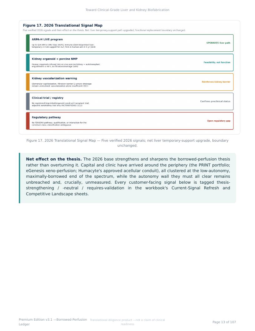 Perfusable Vascular Networks research report preview page 13