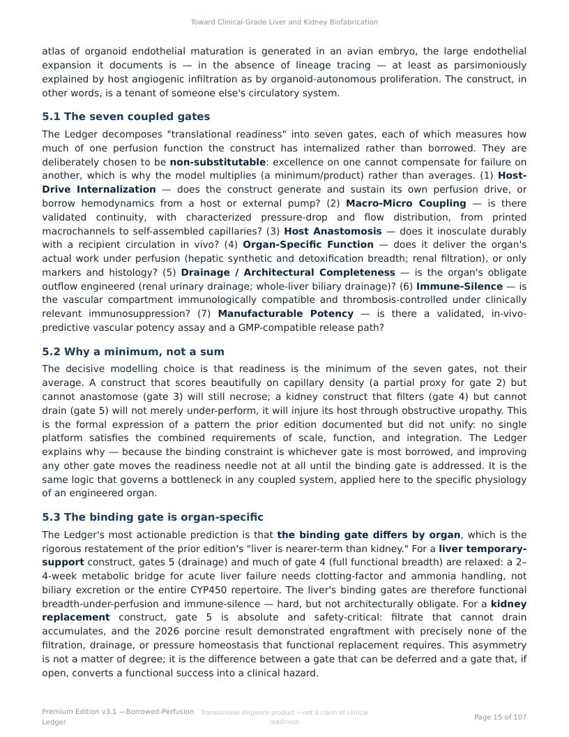 Perfusable Vascular Networks research report preview page 15