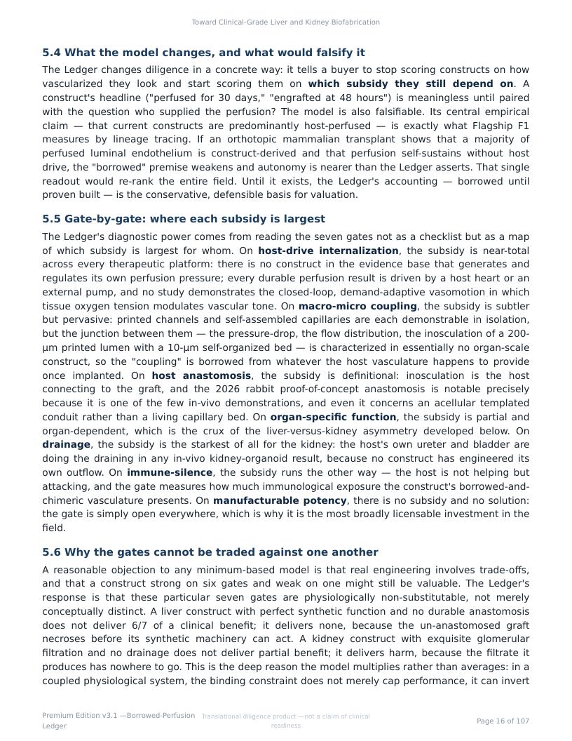 Perfusable Vascular Networks research report preview page 16