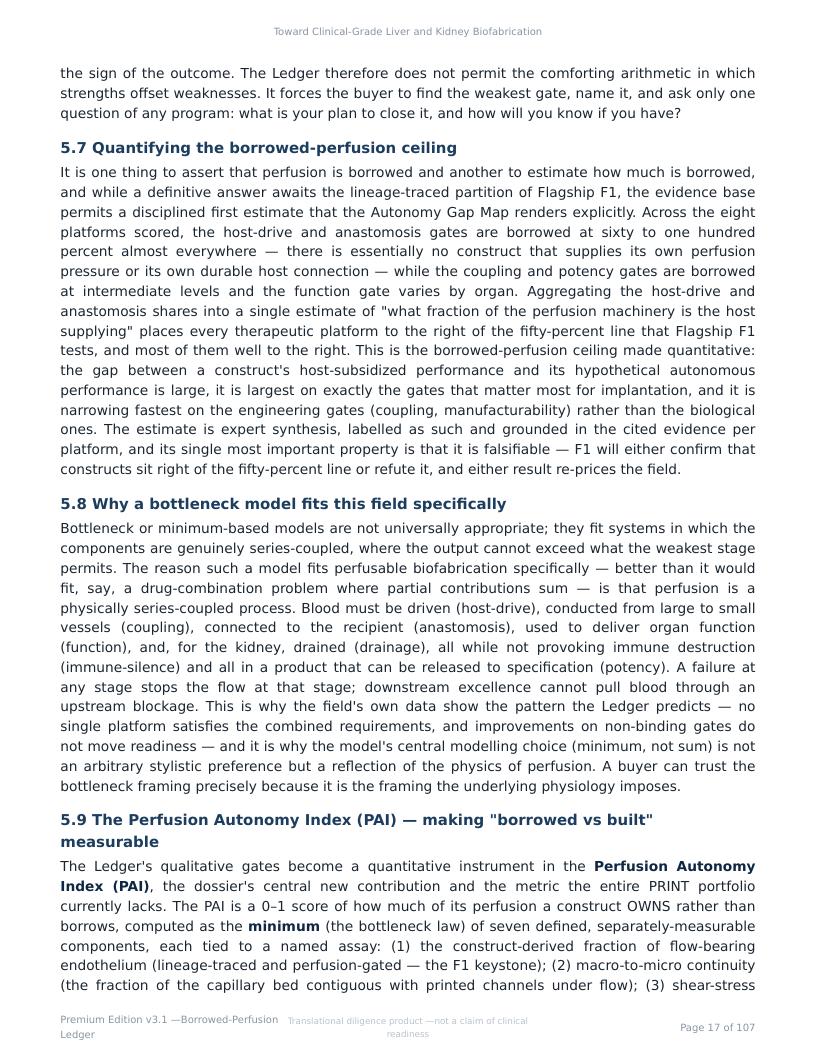 Perfusable Vascular Networks research report preview page 17
