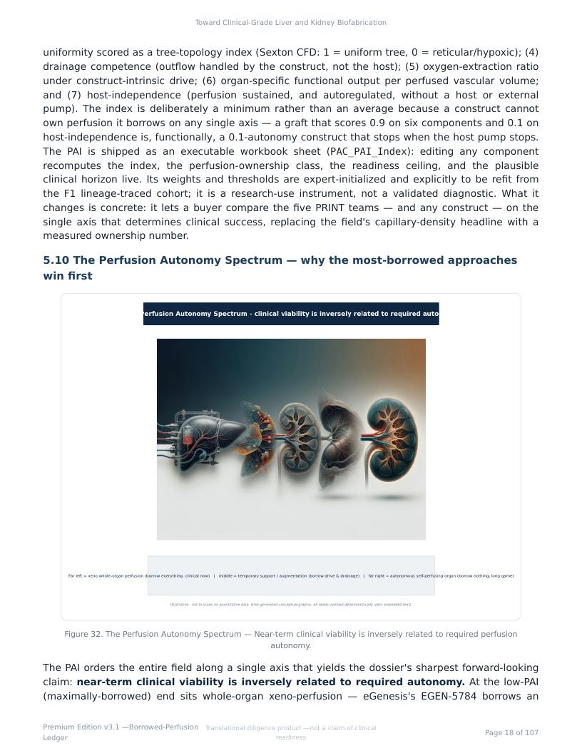 Perfusable Vascular Networks research report preview page 18