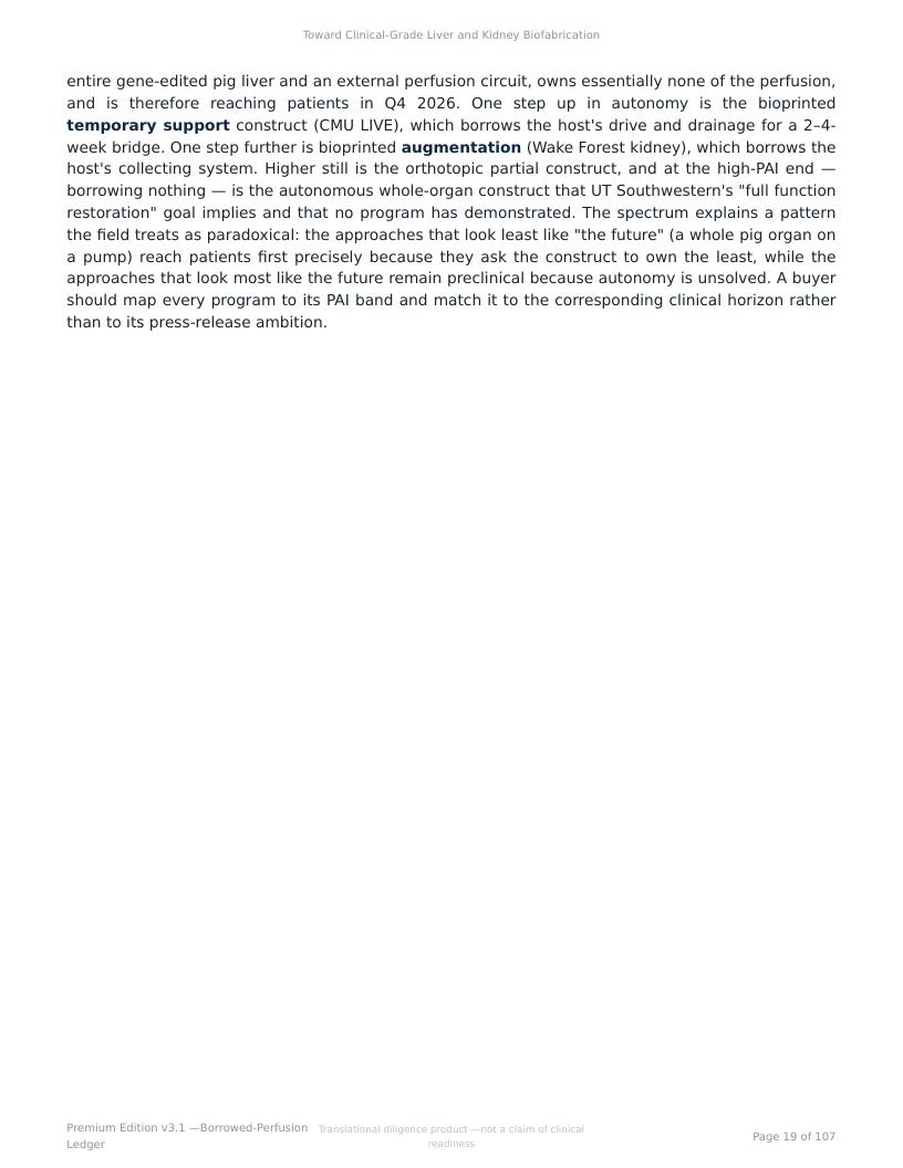 Perfusable Vascular Networks research report preview page 19