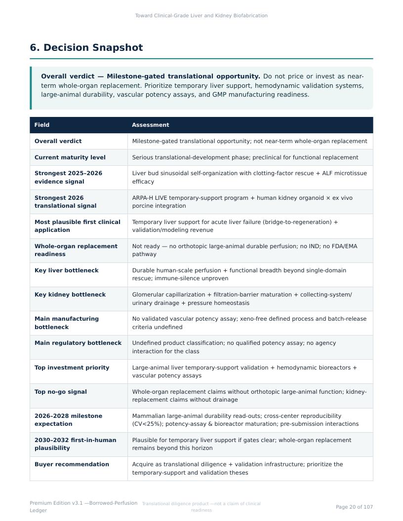 Perfusable Vascular Networks research report preview page 20