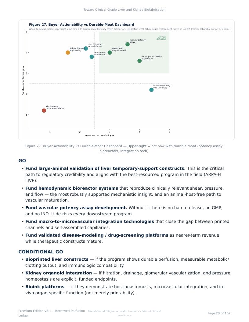 Perfusable Vascular Networks research report preview page 23