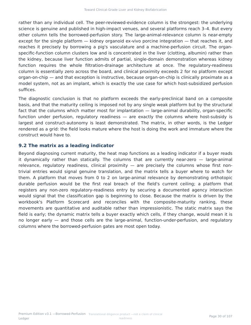 Perfusable Vascular Networks research report preview page 30
