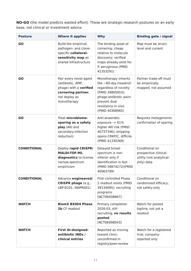 Precision AMR Countermeasures research report preview page 11