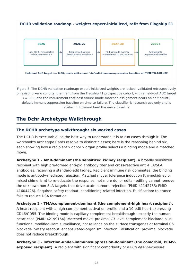Xenotransplantation Durability Ceiling research report preview page 23