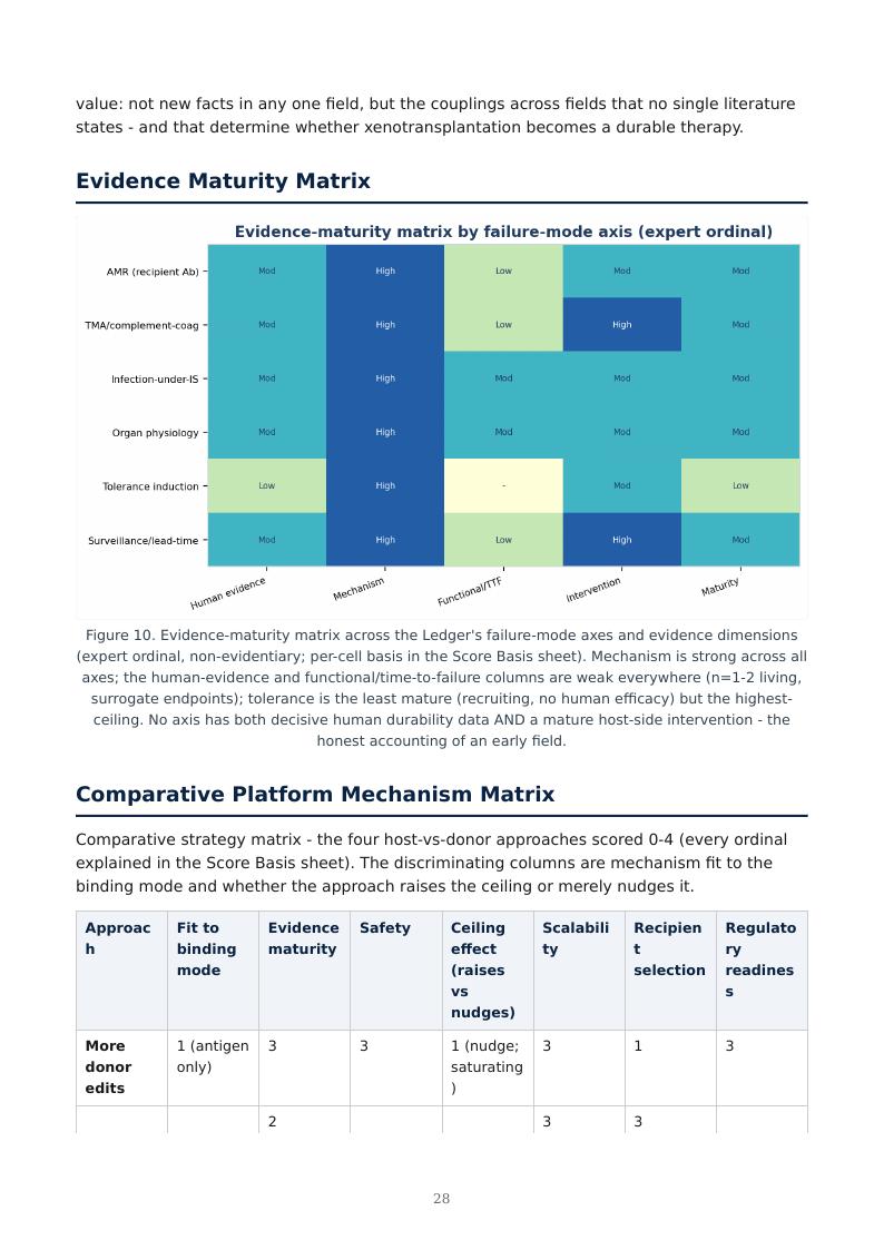 Xenotransplantation Durability Ceiling research report preview page 28