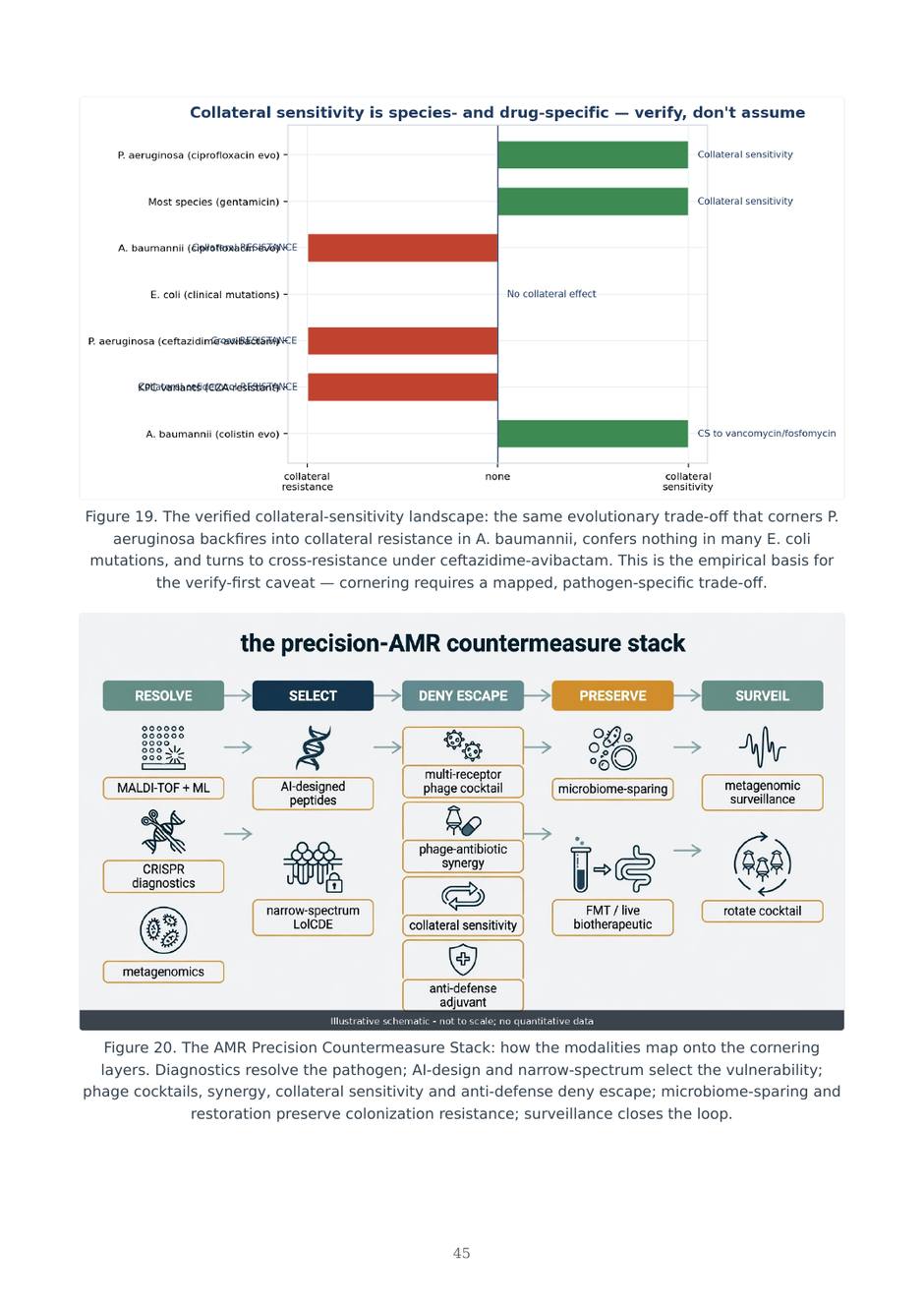 Precision AMR dossier — page 45